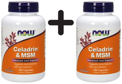 2 x Celadrin & MSM, 500mg - 120 capsules