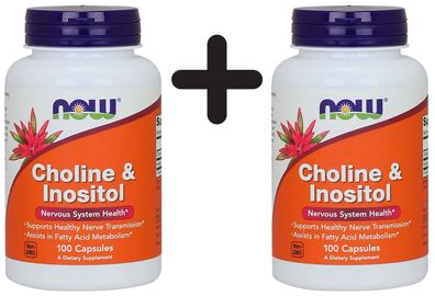 2 x Choline and Inositol, 500mg - 100 caps
