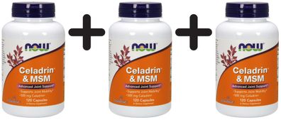 3 x Celadrin & MSM, 500mg - 120 capsules