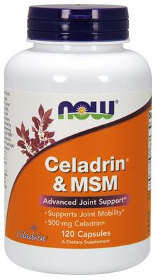Celadrin & MSM, 500mg - 120 capsules