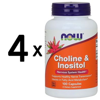4 x Choline and Inositol, 500mg - 100 caps