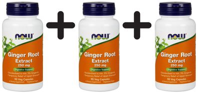 3 x Ginger Root Extract, 250mg - 90 vcaps