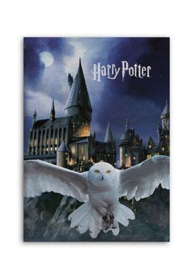 Harry Potter Fleecedecke Schmusedecke Kuscheldecke 100 x 140 cm