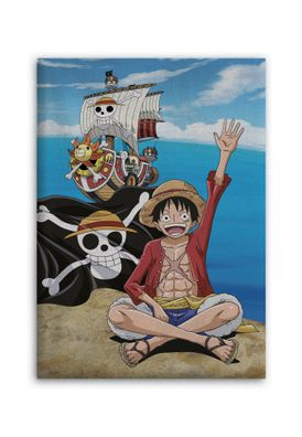 One Piece Fleecedecke Schmusedecke Kuscheldecke 100 x 140 cm