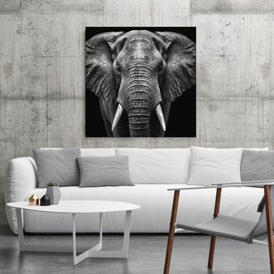 Wandbild Tier Elefant , Leinwand , Acrylglas , Moderne Kunst Deko