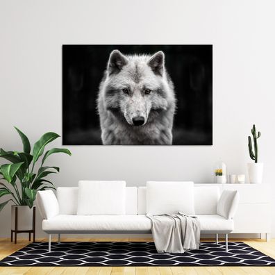 Wandbild Porträt weißer Wolf Tier , Leinwand , Acrylglas , Poster Kunst Deko