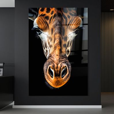 Wandbild Giraffen porträt Tier , Leinwand , Acrylglas , Poster Modern Deko Kunst