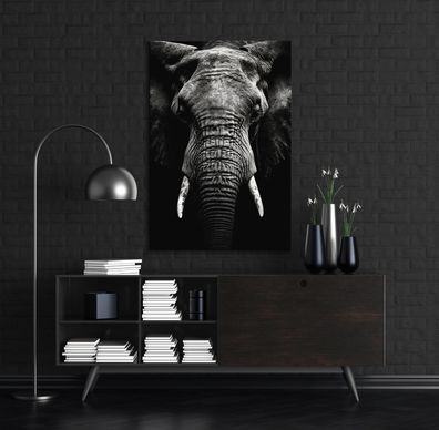 Wandbild Elefant porträt Tier , Leinwand , Acrylglas , Poster Modern Deko Kunst