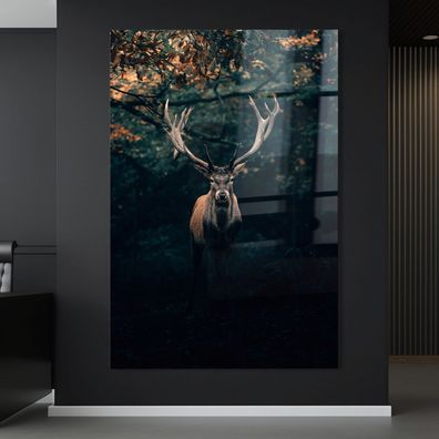 Wandbild Hirsch im Wald tier horns , Leinwand , Acrylglas Poster Modern Deko Kunst