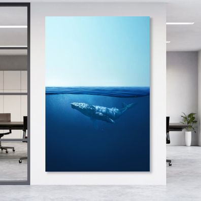 Wandbild Blauwal im Ozean fish tier Acrylglas , Leinwand , Poster Modern Deko Kunst