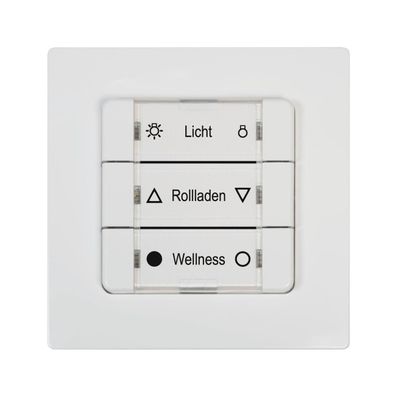 Rademacher Funksender 434,5MHz FM DuoFern 4k IP30 Rollingcode-System 230V/ AC 9494-2