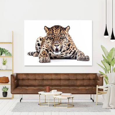 Wandbild Leopard jaguar Tier Leinwand , Acrylglas Poster Modern Deko Kunst