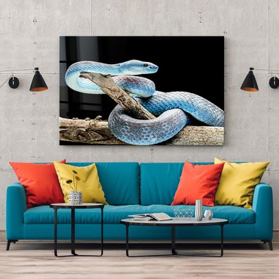 Wandbild Reptilien schlange Tier Leinwand , Acrylglas , Poster Modern Deko Kunst