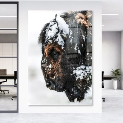 Wandbild Tier Büffel im Schnee Leinwand , Acrylglas , Poster Modern Deko Kunst