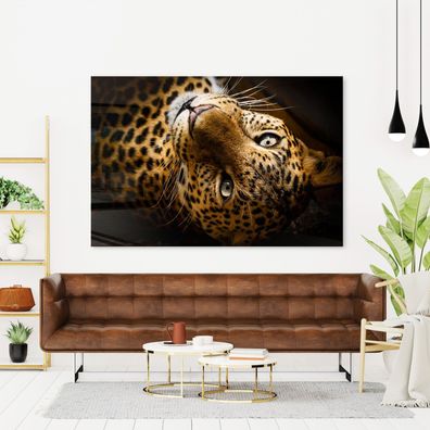 Wandbild Tier Leopard jaguar Leinwand , Acrylglas , Poster Modern Deko Kunst