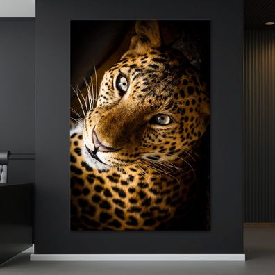 Wandbild Tier Leopard jaguar Leinwand , Acrylglas , Poster Deko Kunst