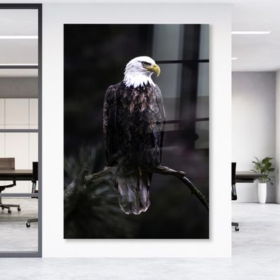 Wandbild Adler Vogel Tier Leinwand , Acrylglas , Poster Modern Deko Kunst