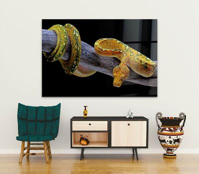 Wandbild Tier Reptilien Schlangen Leinwand , Acrylglas , Poster Modern Deko Kunst
