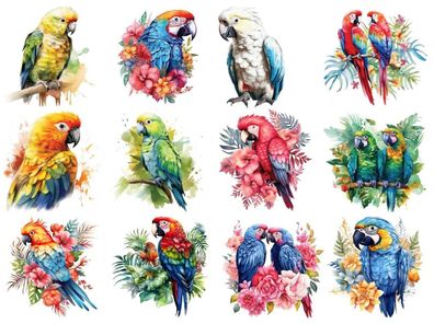 Bügelbild Bügelmotiv Papagei Vogel Ara Sittich Junge Mädchen verschiedene Größen
