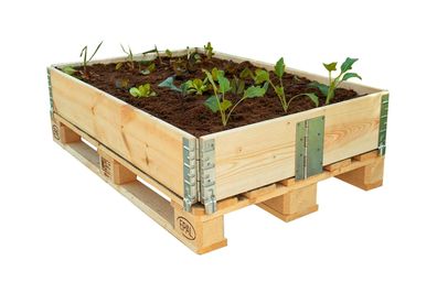 Holz Hochbeet Rahmen Steck System - 120 x 80 cm - Blumen Gemüse Beet erweiterbar