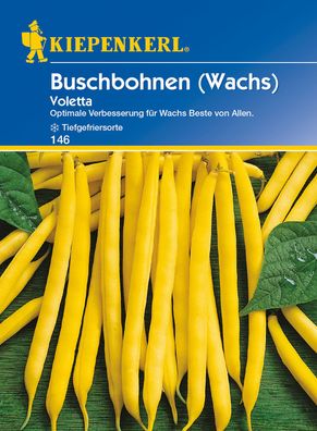 Kiepenkerl® Buschbohnen Wachs Voletta - Gemüsesamen
