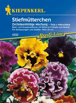 Kiepenkerl® Stiefmütterchen Orchideenblütige Mischung - Blumensamen