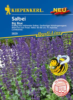 Kiepenkerl® Salbei Big Blue - Blumensamen