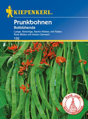Kiepenkerl® Prunkbohnen Rotblühende - Gemüsesamen
