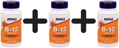 3 x Vitamin B-12 with Folic Acid, 1000mcg - 250 lozenges