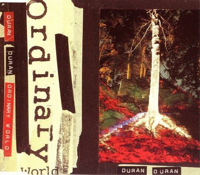 CD-Maxi: Duran Duran: Ordinary World (1993) Parlophone 7243 8 80457 2 8