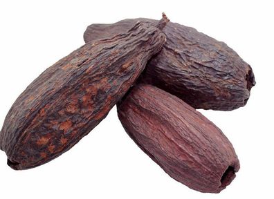 2 Kakaoschote getrocknete Kakaofrucht, Dekoartikel echte Kakaobohnen Kakao schokolade