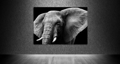 Wandbild Modern Tier Elefant Kunst Leinwand , Acrylglas , Poster