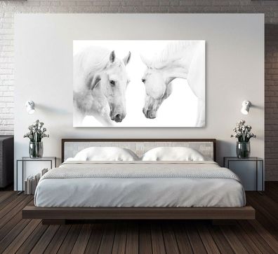 Wandbild Art Modern Zwei weiße Pferde, Kunsttiere Kunst Leinwand , Acrylglas , Poster