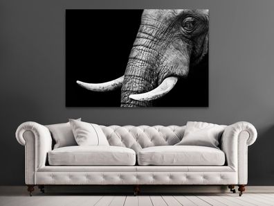 Wandbild Elephant Portrait Tier , Modern Kunst Leinwand , Acrylglas , Poster
