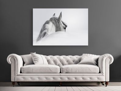 Wandbild Art Modern weiße Pferde, Kunsttiere Kunst Leinwand , Acrylglas , Poster