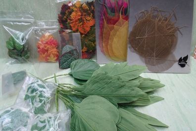 künstliche Blätter Efeu Banyan & ... an Biegedraht Schmücken Basteln Dekorieren