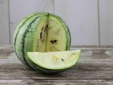 Wassermelone White Sugar Lump 5+ Samen - Seeds - Citrullus lanatus Cl 015