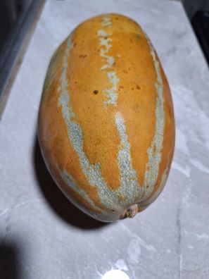 Thai gestreifte Honigmelone - Melon - 5+ Samen - Seeds - Saatgut Cm 039