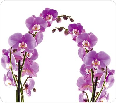 Multi-Platte Orchideenblüte, für Glaskeramik Kochfelder, Schneidbrett, Wandblende