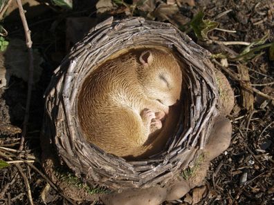 Siebenschläfer Maus Deko Figur lebensecht Nest wetterfest Gartenfigur HOTANT NEU