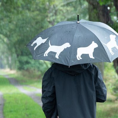Regen Schirm Reflektor Hunde Bulldogge beagle Stockschirm NEU Esschert