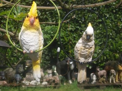 Papagei Deko Figur Kakadu Nyphmensittich im Ring hängen Garten NEU (Gr. Groß)