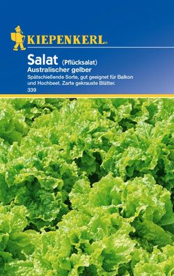 Kiepenkerl® Salat Australische Gele Pflücksalat - Gemüsesamen