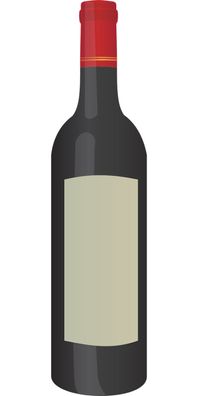 Weingut AXEL BAUER 2019 Syrah Premier Vin trocken