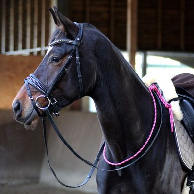 EQuest Balance Zügel Pro, pink / schwarz - 70 cm - erleichtern dem Pferd die Balan...