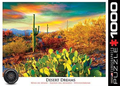 Wüste von Arizona