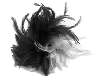 Haarclip mit Federn schwarz/ weiß Kopfschmuck Deko Hutschmuck Karneval Fasching