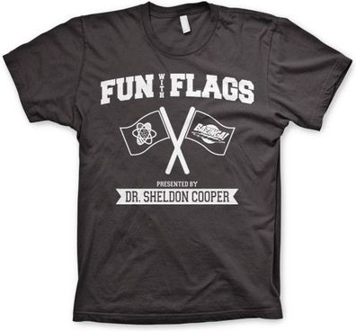The Big Bang Theory Fun With Flags T-Shirt Dark-Grey