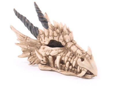 NEU Spardose Sparschwein Drachenkopf Totenkopf Skelett Fantasy Gothic Skull