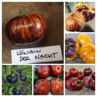 Blaue Tomaten Samen Mischung - Tomato Seeds Mix 25+ Samen - Graines V 188